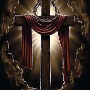 Meet your Posher, Joni